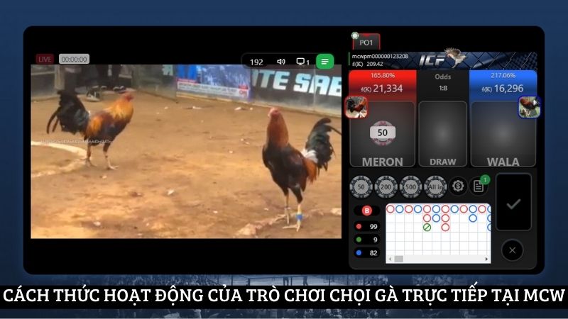 Cách thức hoạt động của trò chơi chọi gà trực tiếp tại MCW