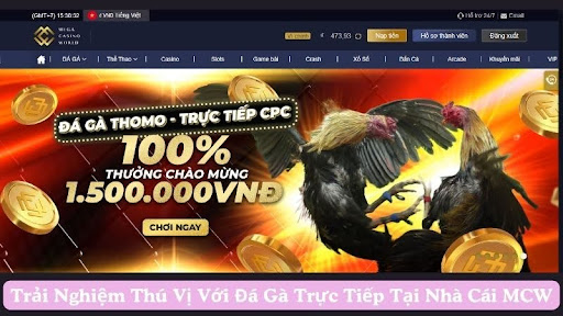 Khám phá sơ lược về đá gà trực tiếp tại nhà cái MCW