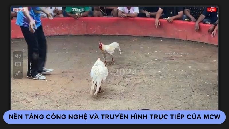 Nền tảng công nghệ và truyền hình trực tiếp của MCW