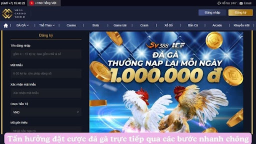 Tẩn hưởng đặt cược đá gà trực tiếp qua các bước nhanh chóng