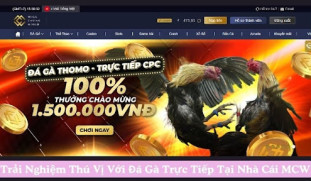Trải Nghiệm Thú Vị Với Đá Gà Trực Tiếp Tại Nhà Cái MCW